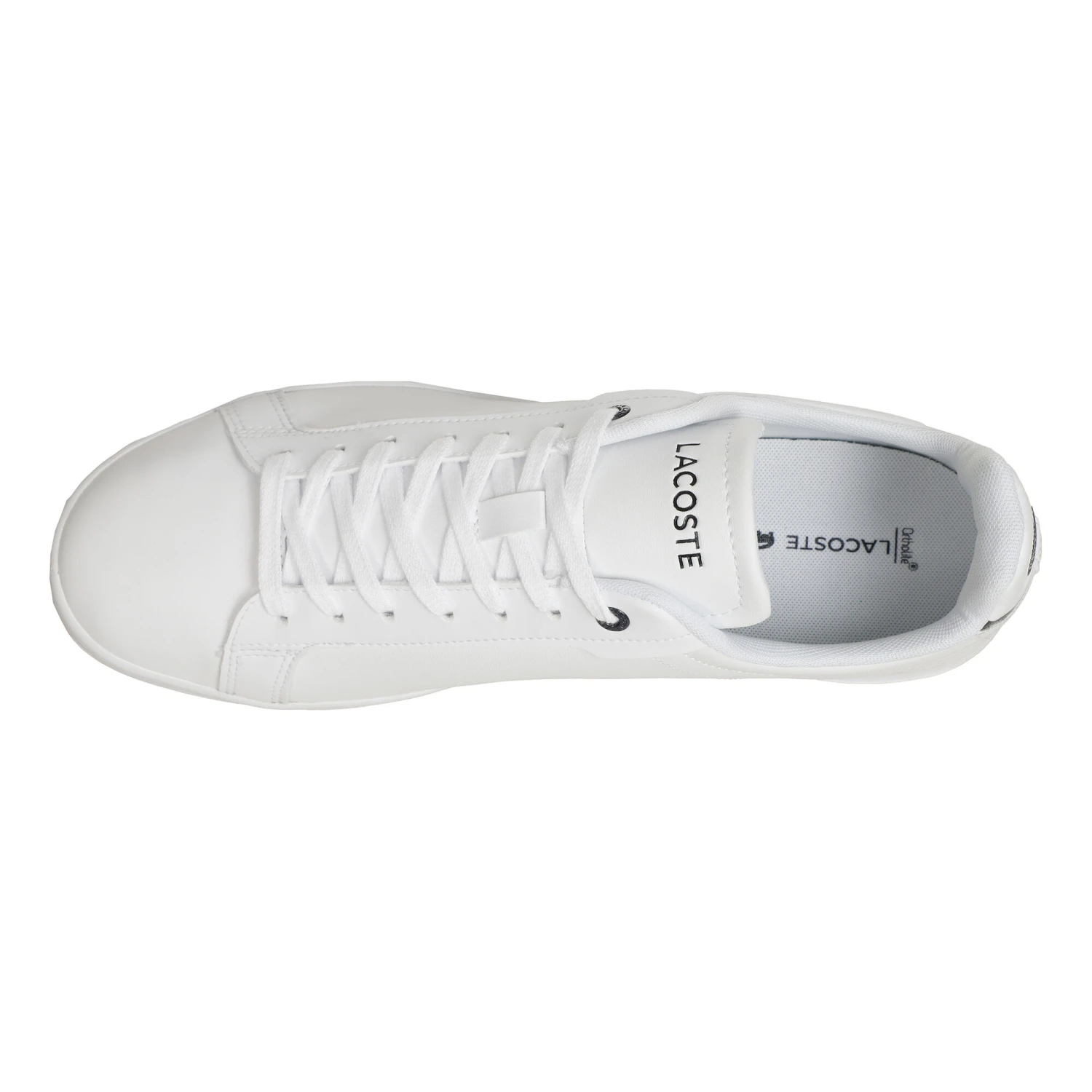 Lacoste Carnaby Pro Scarpa Per Il Tempo Libero Uomini - Bianco 5 Lacoste Carnaby Pro Scarpa Per Il Tempo Libero Uomini - Bianco - immagine 3